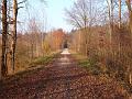 Boggl (11 von 35)